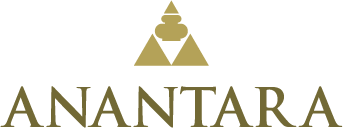 Store-logo