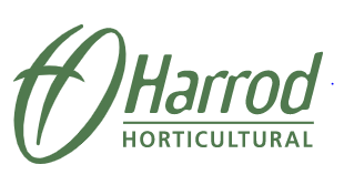 Store-logo